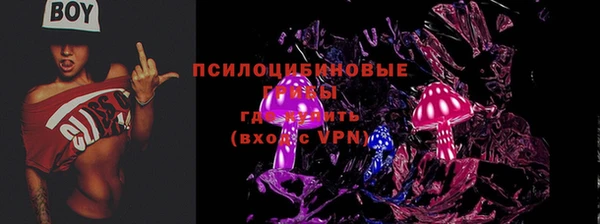 эйфоретик Каменка