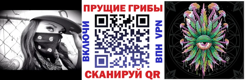 Купить где  Туран  Псилоцибиновые грибы прущие грибы 
