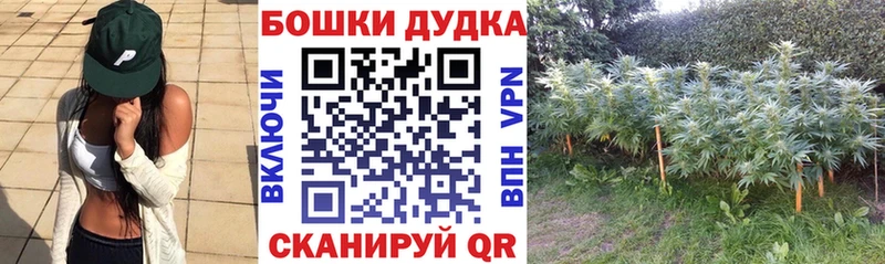 Купить где Туран Канабис сатива